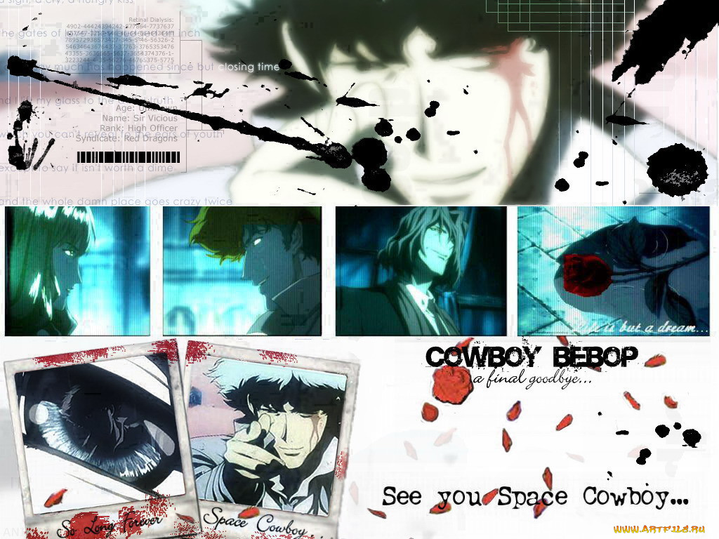 space, cowboy, , bebop